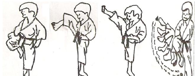 http://karate-do.ucoz.es/YOKO_GERI_KEAGE.jpg